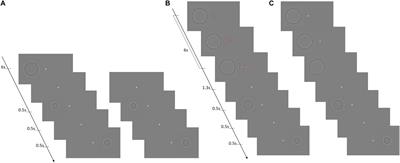 The Role of Temporal and Spatial Attention in Size Adaptation